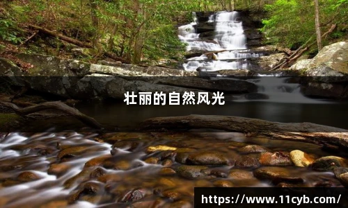 壮丽的自然风光